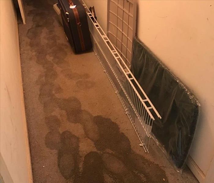 A hallway with water stains on the carpet