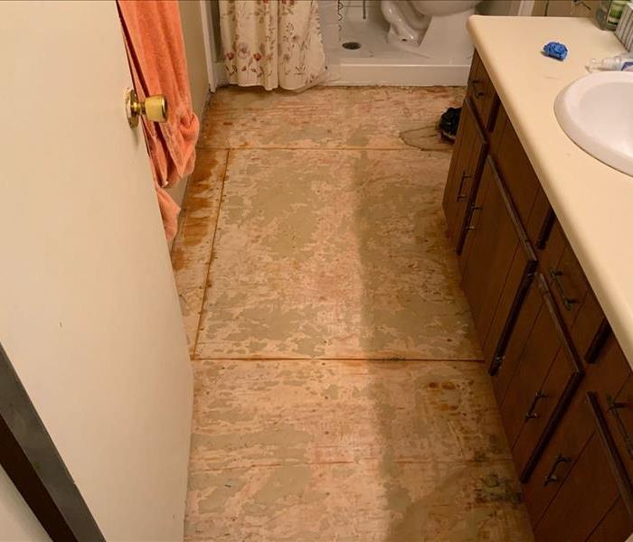 bathroom post water mitigation with flooring removed