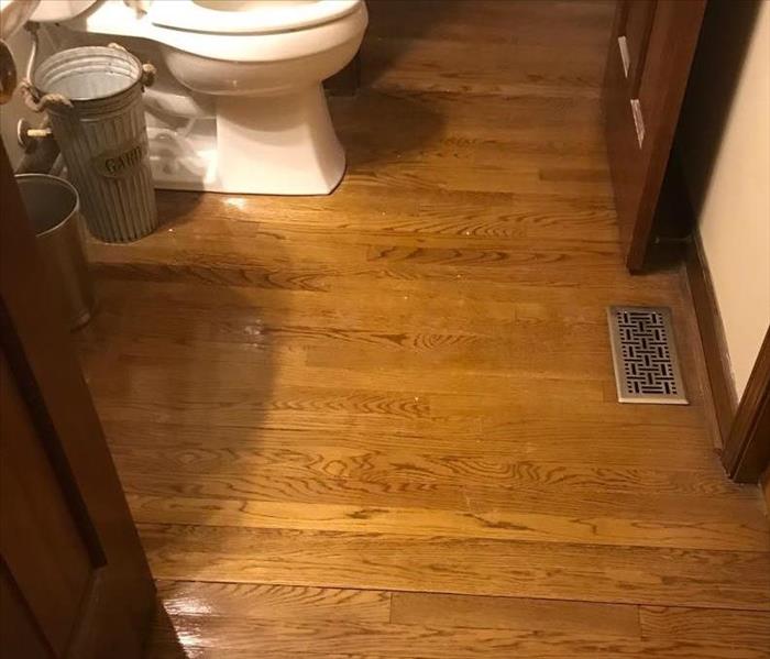 Powder room with hardwood flooring showing buckling around toilet.