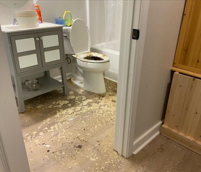 sewage damage to partially finished basement bathroom