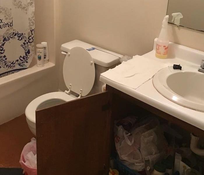 bathroom in apartment pre water mitigation